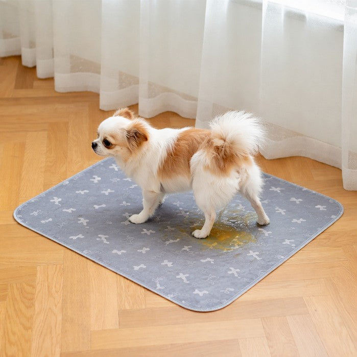 purelaxio_cane_pipi_699x699.jpg__PID:b3949ce6-578f-433b-ac33-22ae90c37f0e